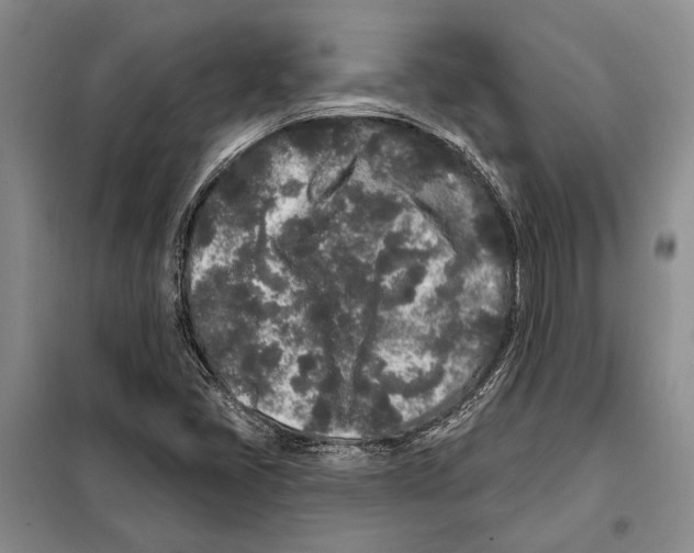 X0000097971405200804210959