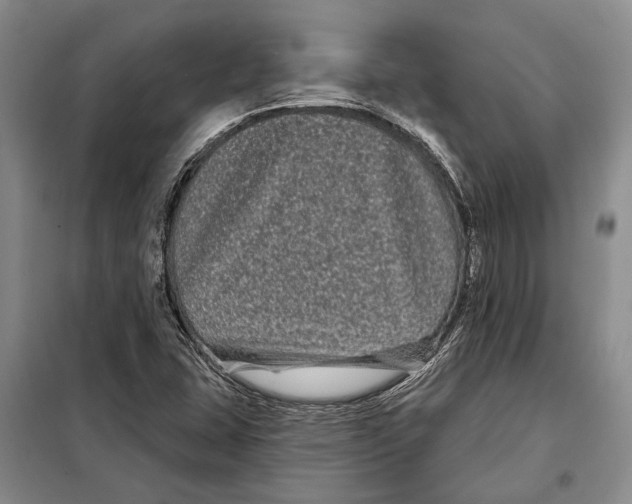 X0000097971407200804210959