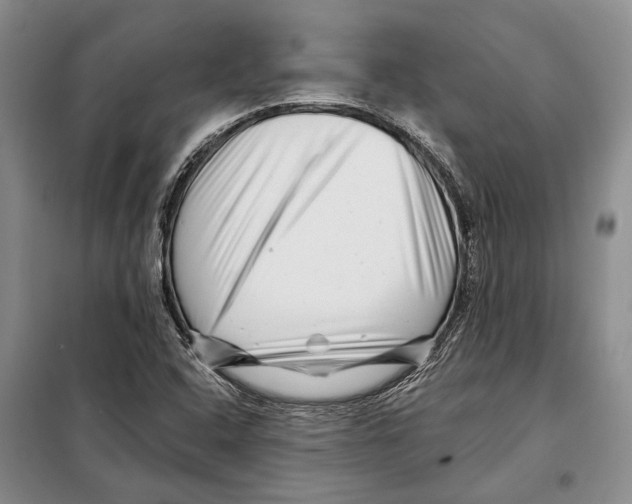 X0000097971408200804210959