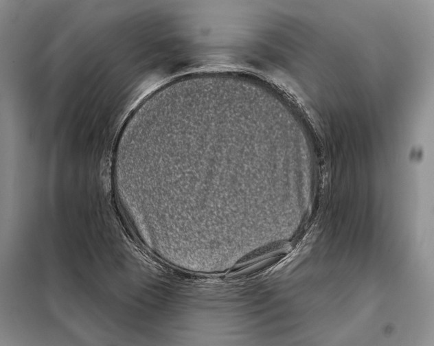 X0000097971409200804210959