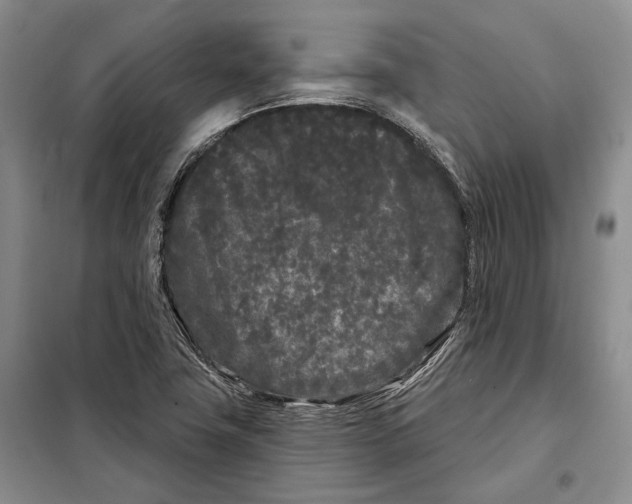 X0000097971411200804210959