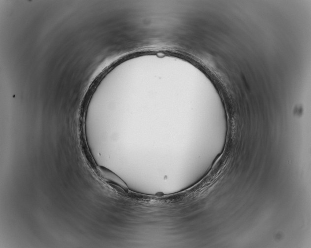 X0000097971412200804210959