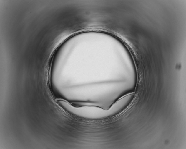 X0000097971415200804210959