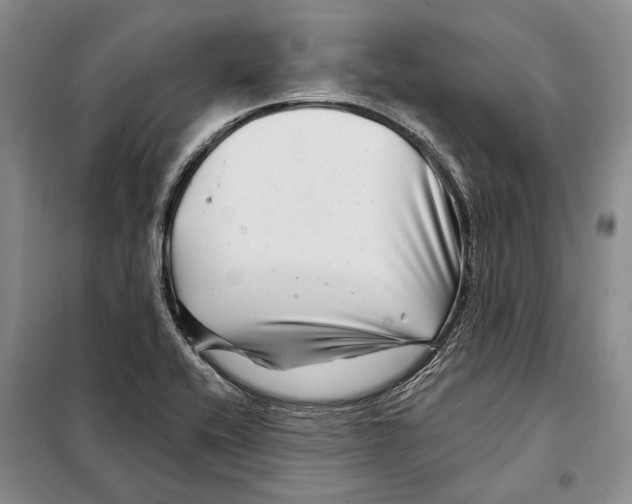 X0000097971416200804210959