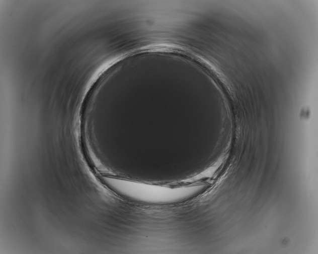 X0000097971418200804210959