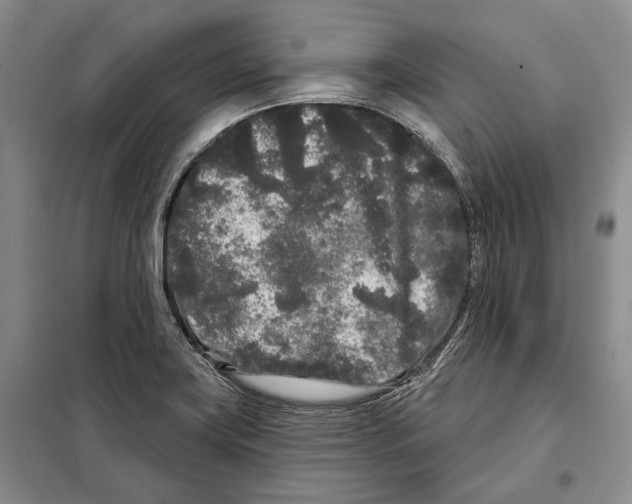 X0000097971419200804210959