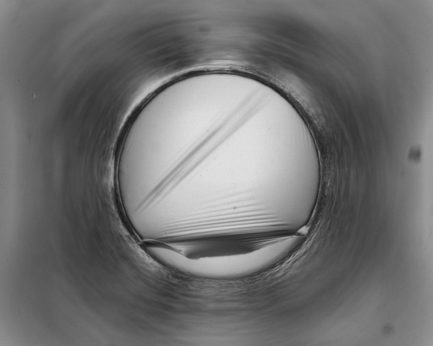 X0000097971420200804210959