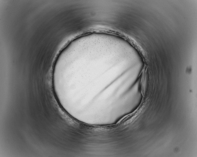 X0000097971421200804210959