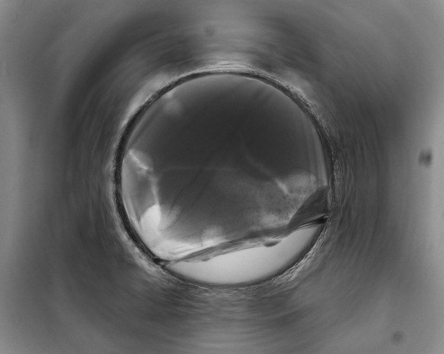 X0000097971422200804210959