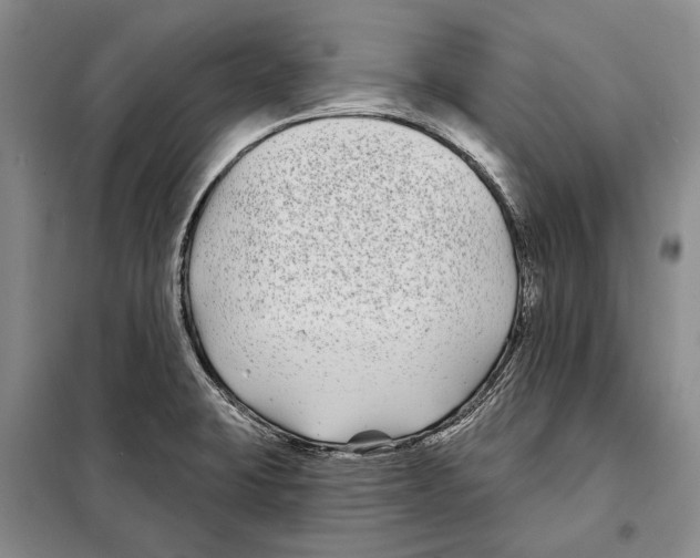 X0000097971423200804210959