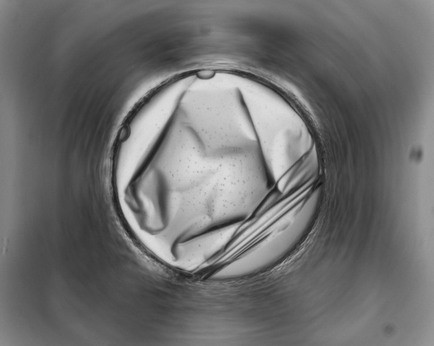 X0000097971424200804210959