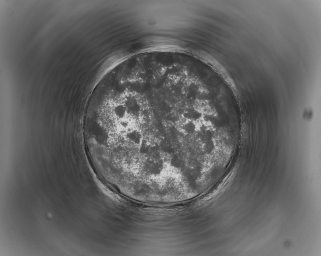 X0000097971425200804210959