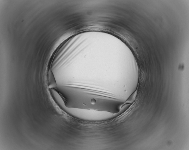 X0000097971426200804210959