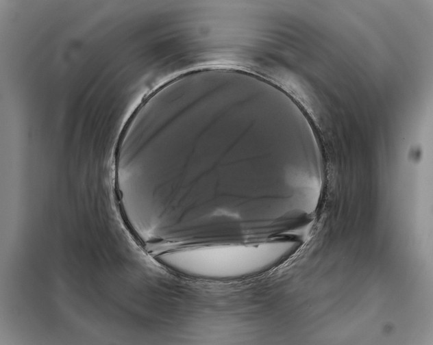 X0000097971428200804210959