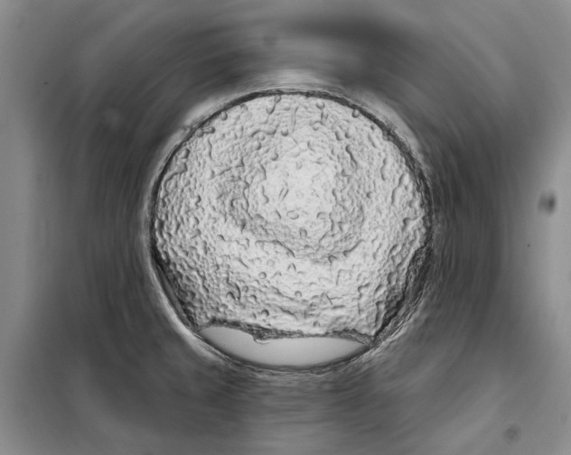 X0000097971429200804211000