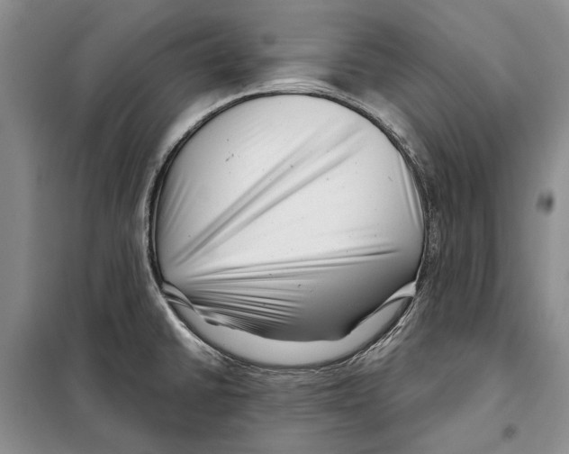 X0000097971430200804211000