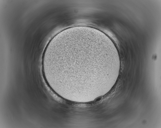 X0000097971431200804211000