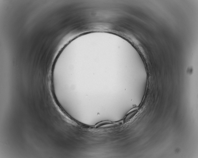 X0000097971432200804211000