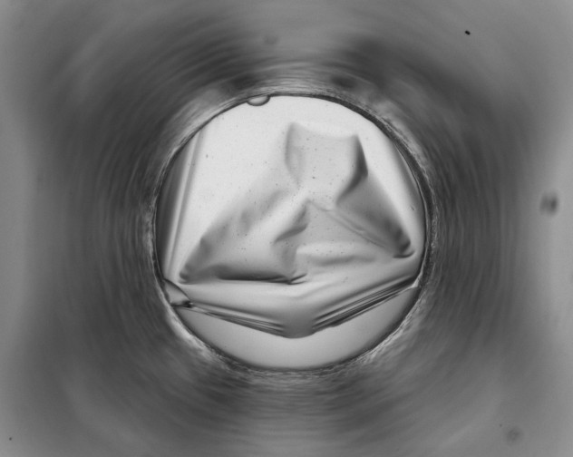 X0000097971433200804211000