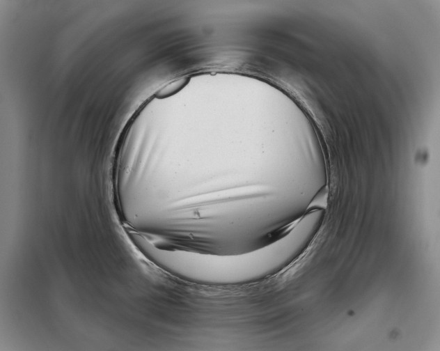X0000097971434200804211000
