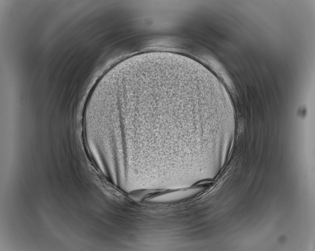 X0000097971435200804211000