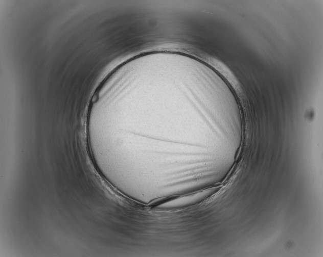 X0000097971436200804211000