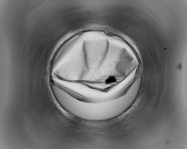 X0000097971437200804211000