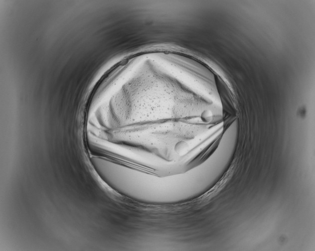 X0000097971438200804211000