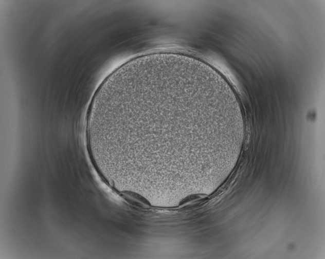 X0000097971439200804211000