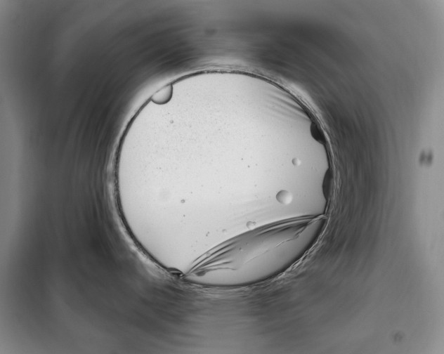 X0000097971440200804211000