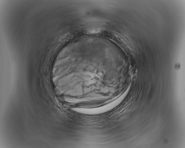 X0000097971441200804210959