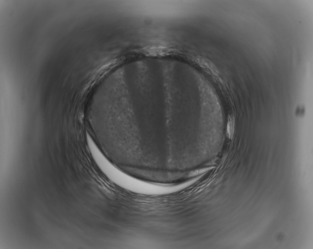 X0000097971444200804210959