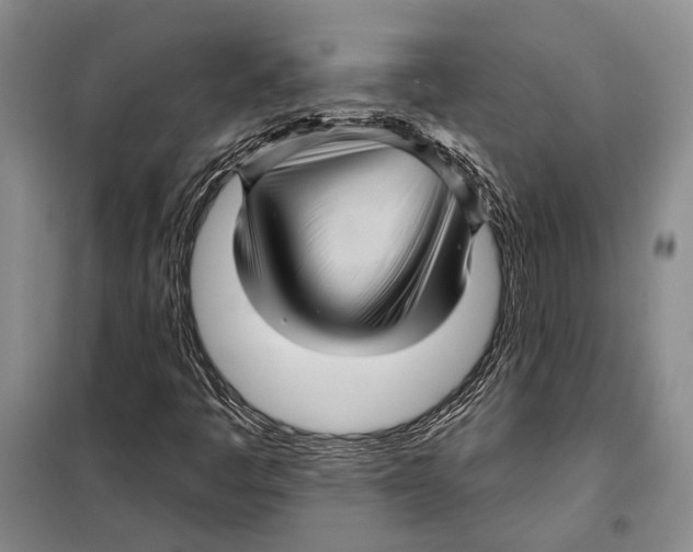 X0000097971445200804210959
