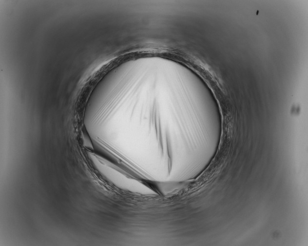 X0000097971448200804210959