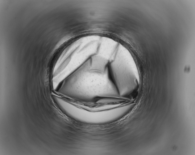 X0000097971450200804210959