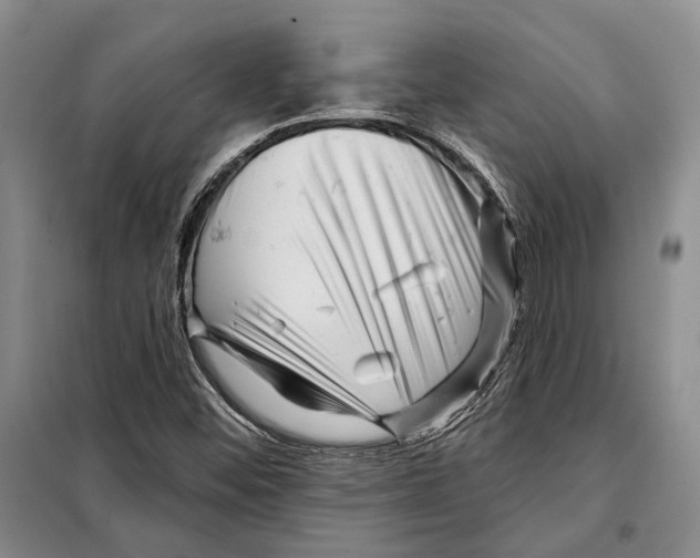 X0000097971452200804210959