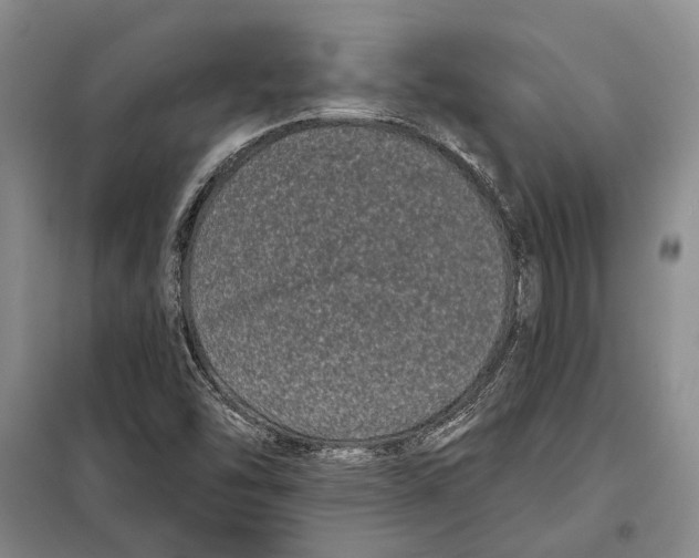 X0000097971454200804210958