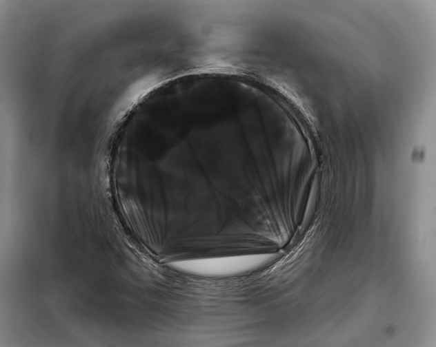 X0000097971455200804210958