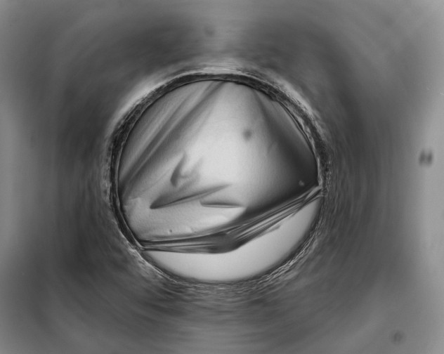 X0000097971456200804210958