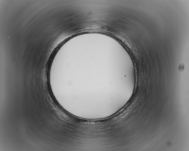 X0000097971458200804210958