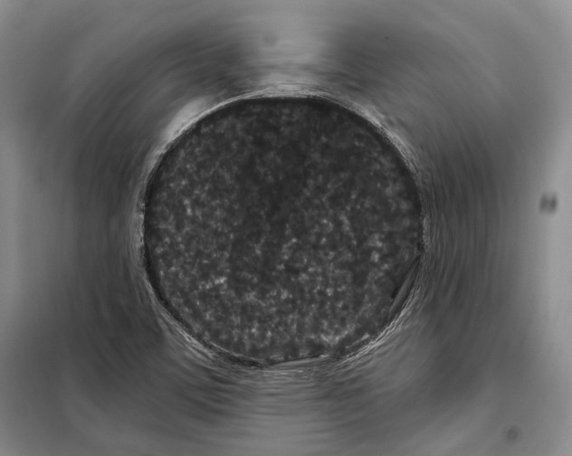 X0000097971459200804210958