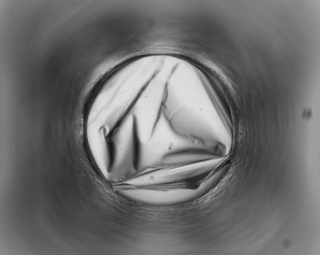 X0000097971461200804210958
