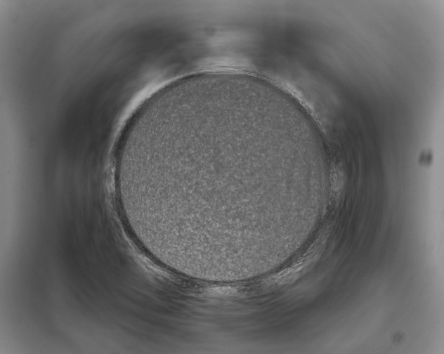 X0000097971462200804210958