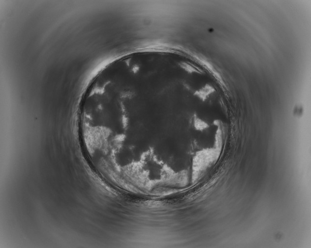 X0000097971463200804210958