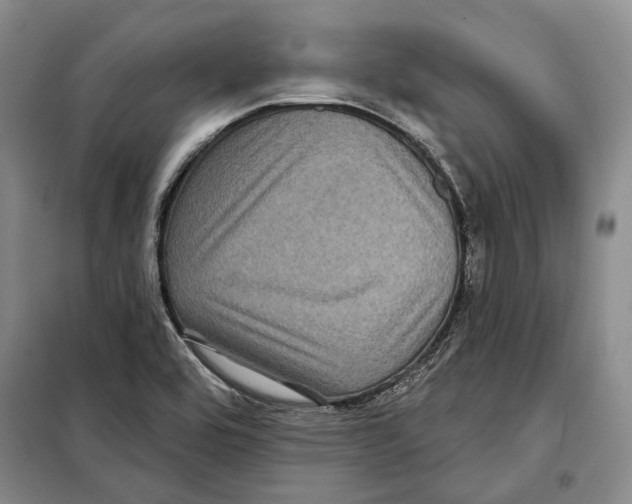 X0000097971464200804210958