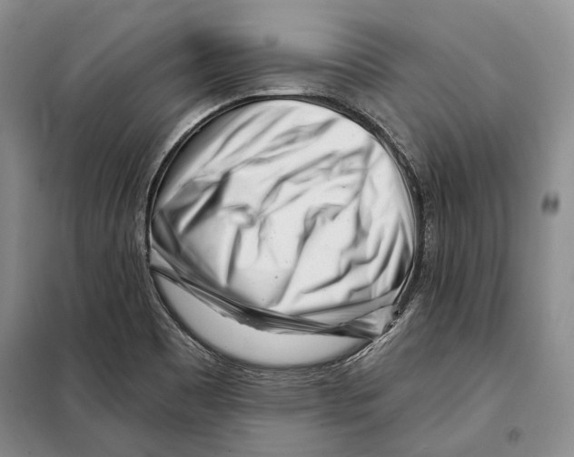 X0000097971465200804210958