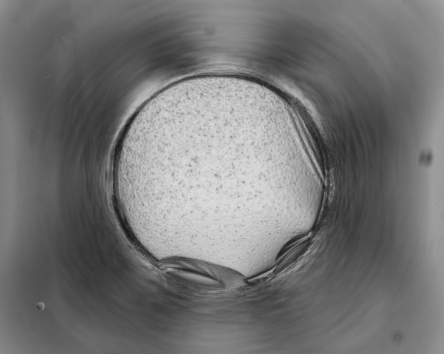 X0000097971467200804210958