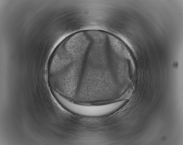 X0000097971468200804210958