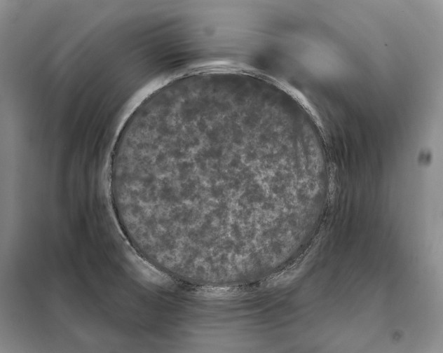 X0000097971474200804210958