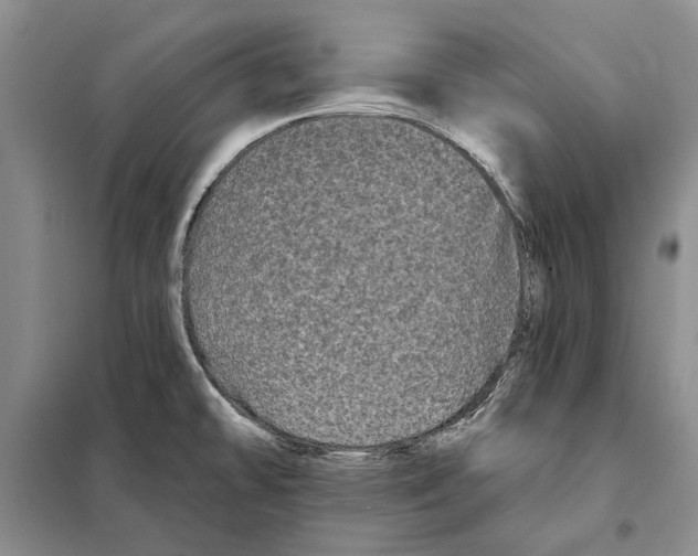 X0000097971478200804210958